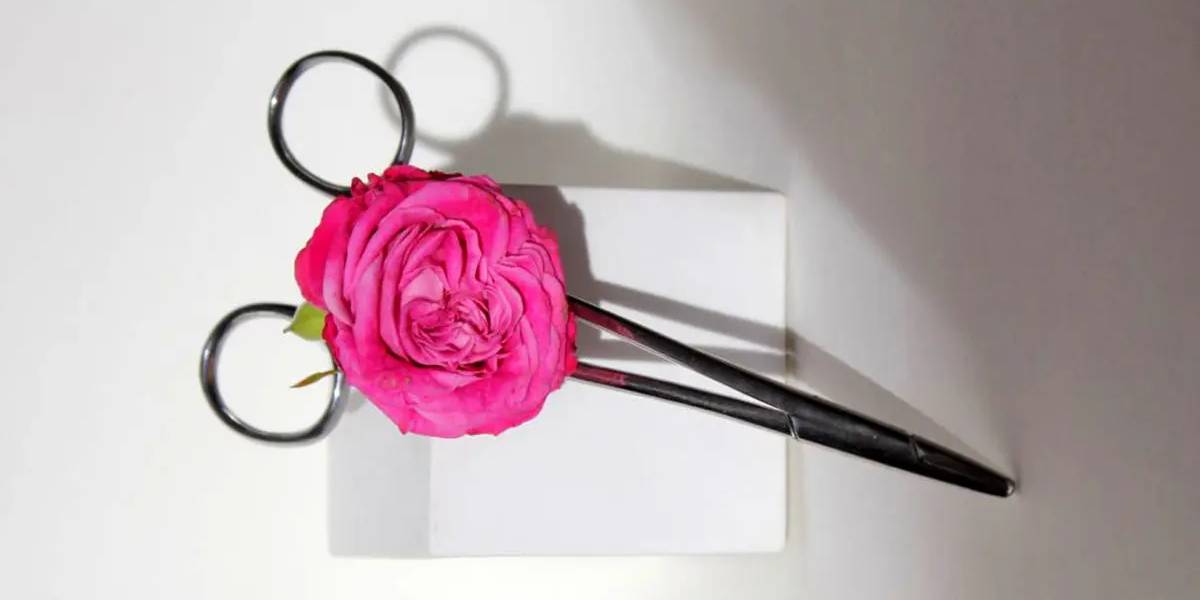 لابیاپلاستی در نوجوانان