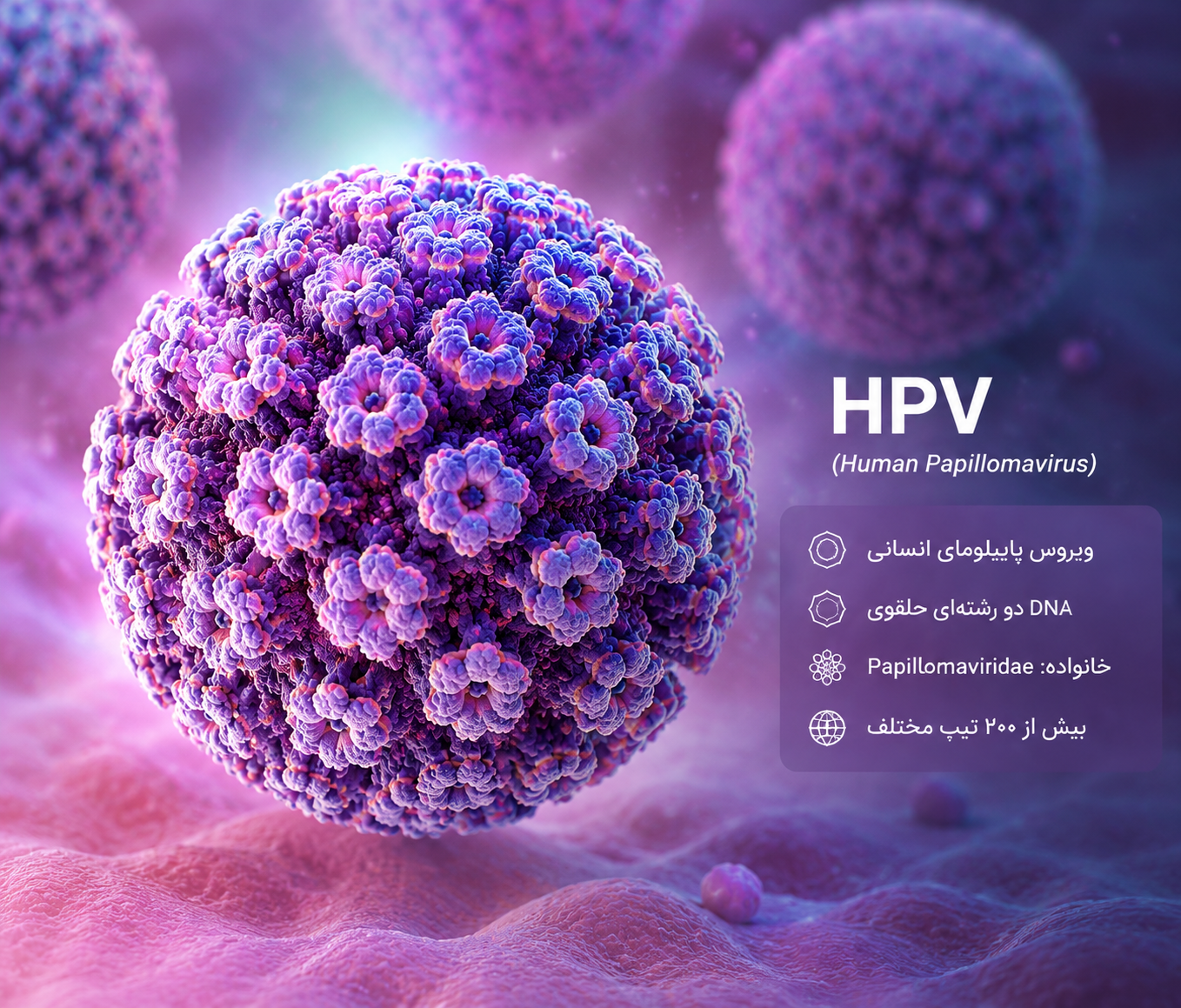 آیا HPV باعث سرطان دهانه رحم میشود؟