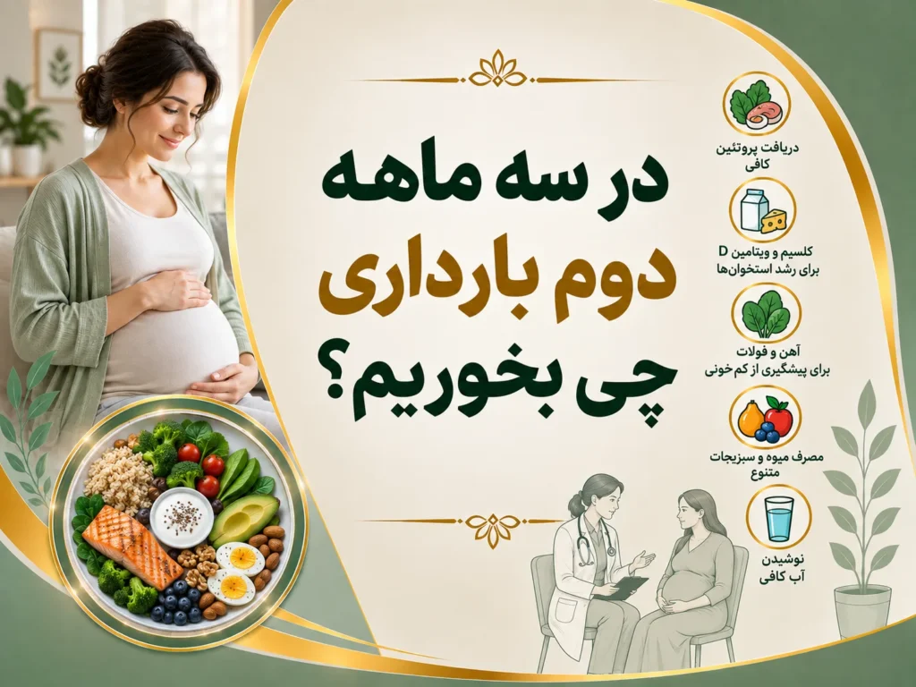 در سه ماهه دوم بارداری چی بخوریم؟