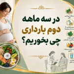در سه ماهه دوم بارداری چی بخوریم؟