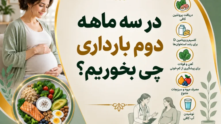 در سه ماهه دوم بارداری چی بخوریم؟